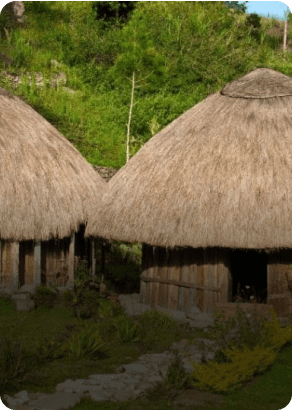 Gambar Rumah Honai